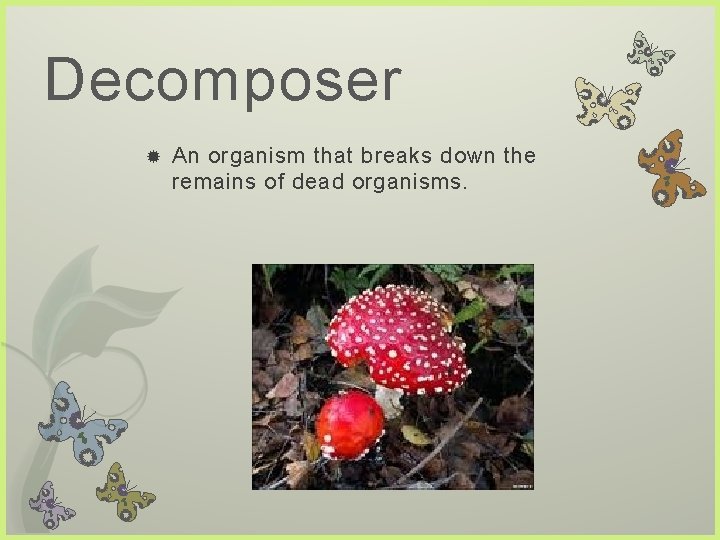 Decomposer An organism that breaks down the remains of dead organisms.  Decomposer An organism that breaks down the remains of dead organisms.