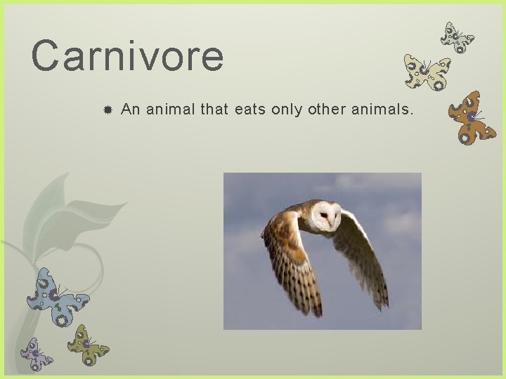 Carnivore An animal that eats only other animals.  Carnivore An animal that eats only other animals.