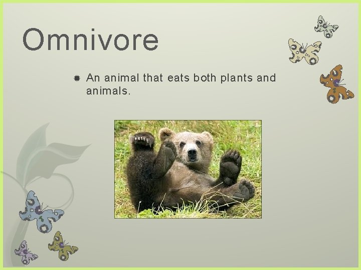 Omnivore An animal that eats both plants and animals.  Omnivore An animal that eats both plants and animals.