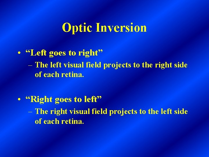 Optic Inversion • “Left goes to right” – The left visual field projects to