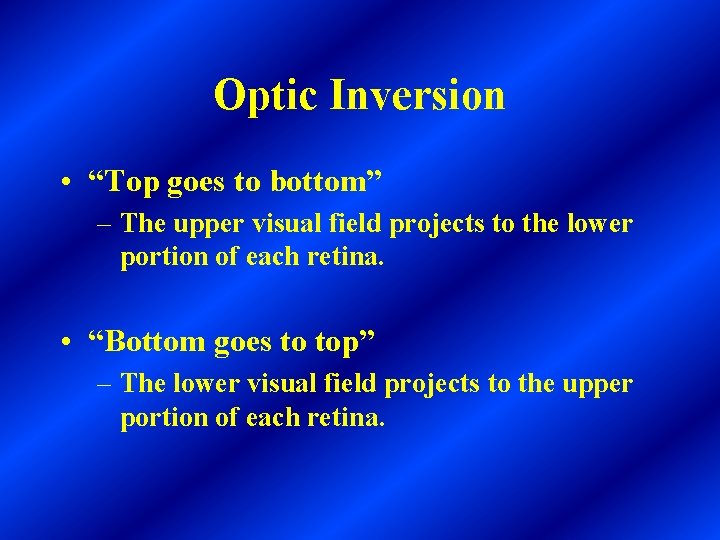 Optic Inversion • “Top goes to bottom” – The upper visual field projects to