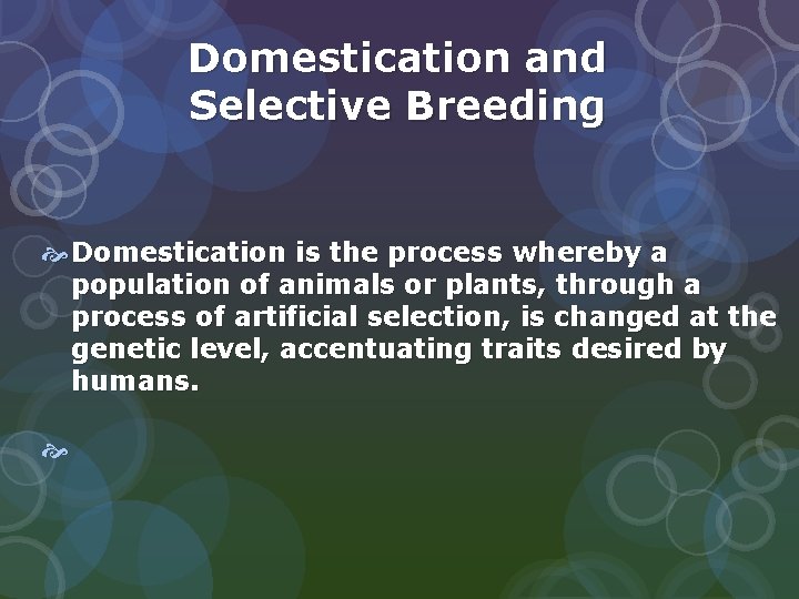 Domestication and Selective Breeding Domestication is the process whereby a population of animals or Domestication and Selective Breeding Domestication is the process whereby a population of animals or