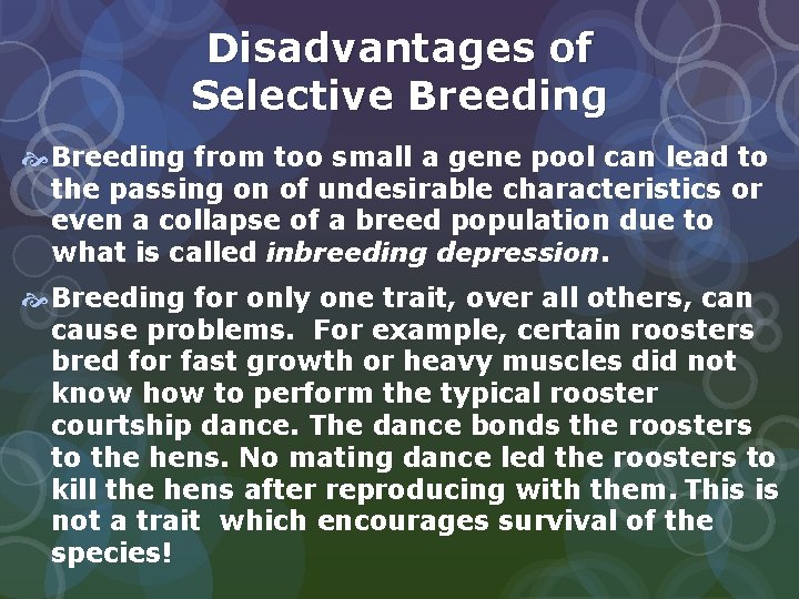 Disadvantages of Selective Breeding from too small a gene pool can lead to the Disadvantages of Selective Breeding from too small a gene pool can lead to the