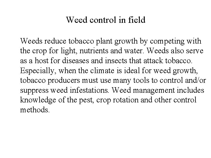 Weed control in field Weeds reduce tobacco plant growth by competing with the crop