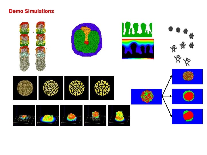 Demo Simulations 