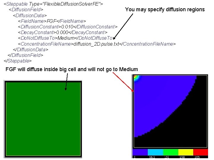 <Steppable Type="Flexible. Diffusion. Solver. FE"> <Diffusion. Field> You may specify diffusion regions <Diffusion. Data>