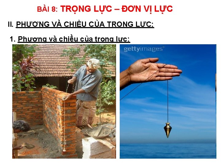 BÀI 8: TRỌNG LỰC – ĐƠN VỊ LỰC II. PHƯƠNG VÀ CHIỀU CỦA TRỌNG