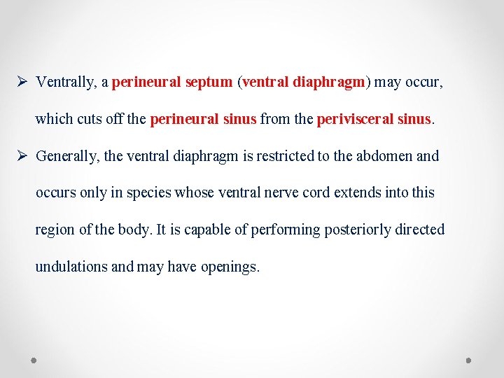 Ø Ventrally, a perineural septum (ventral diaphragm) may occur, which cuts off the perineural