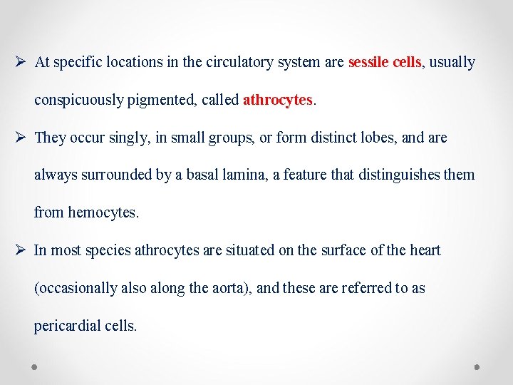 Ø At specific locations in the circulatory system are sessile cells, usually conspicuously pigmented,