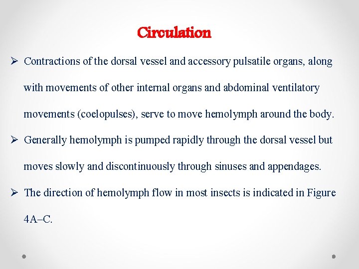 Circulation Ø Contractions of the dorsal vessel and accessory pulsatile organs, along with movements