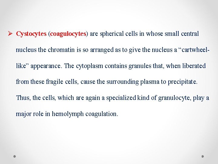 Ø Cystocytes (coagulocytes) are spherical cells in whose small central nucleus the chromatin is