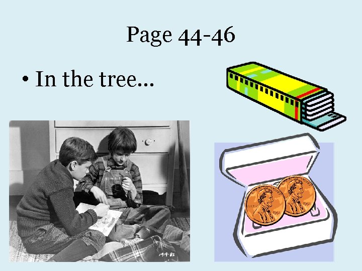 Page 44 -46 • In the tree… 