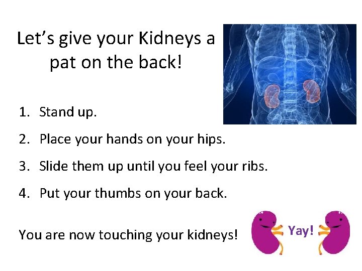 Let’s give your Kidneys a pat on the back! 1. Stand up. 2. Place