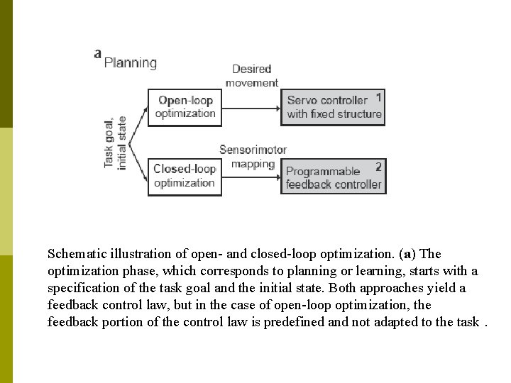 Schematic illustration of open- and closed-loop optimization. (a) The optimization phase, which corresponds to