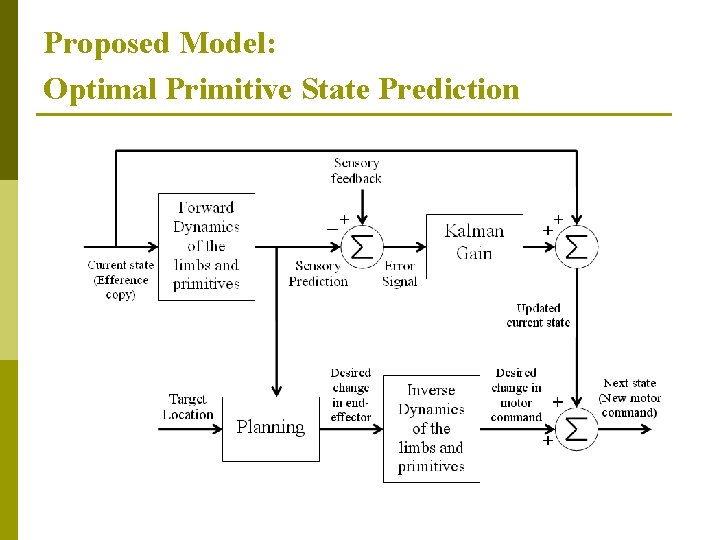 Proposed Model: Optimal Primitive State Prediction 