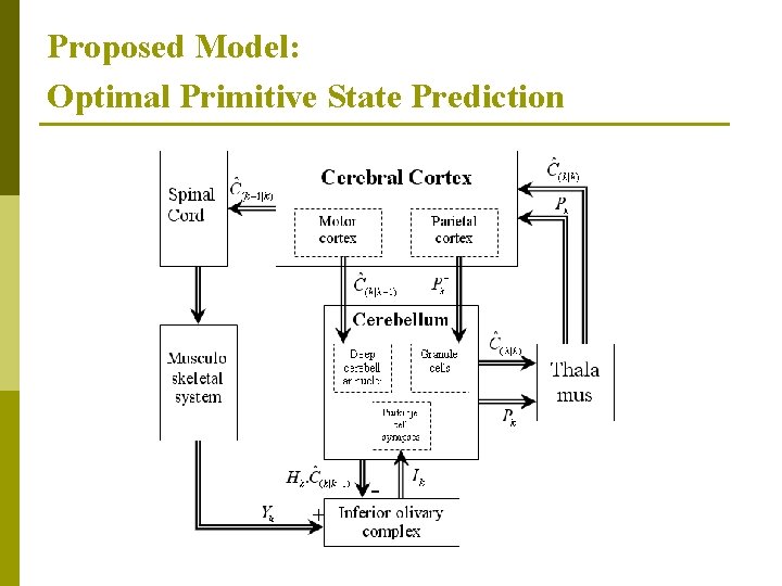 Proposed Model: Optimal Primitive State Prediction 