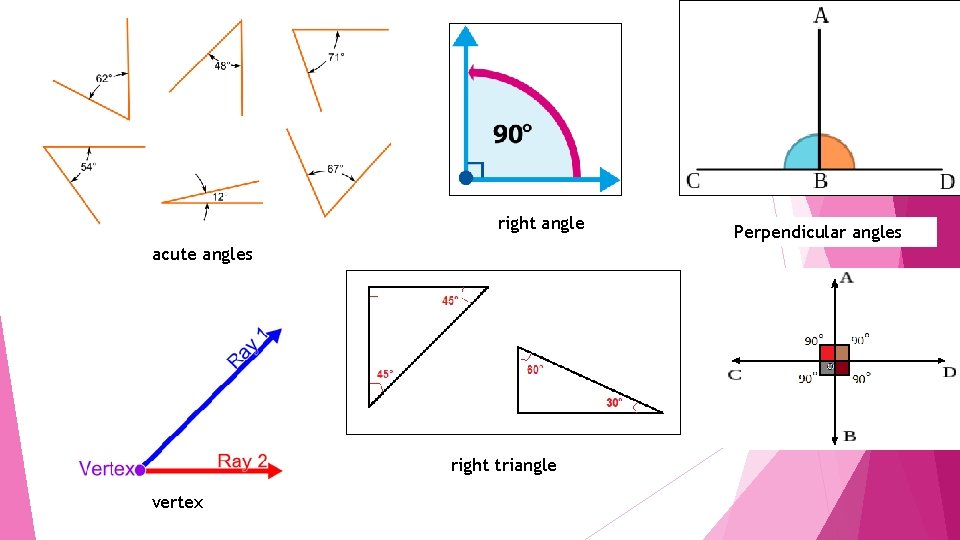 right angle acute angles right triangle vertex Perpendicular angles 