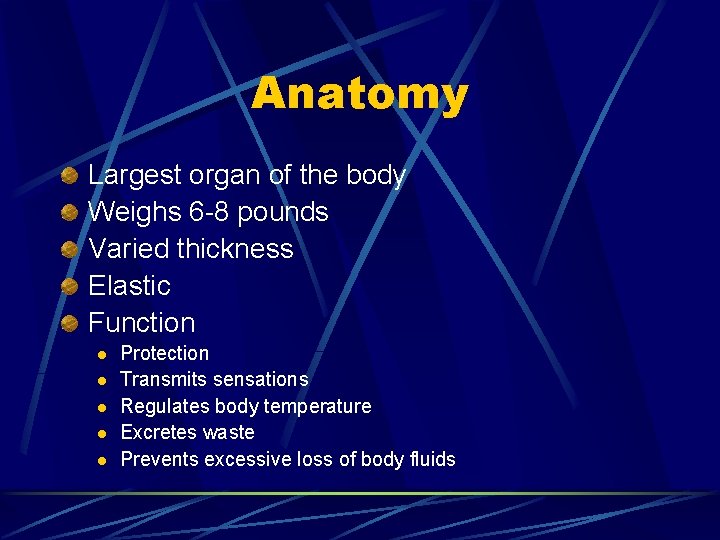 Anatomy Largest organ of the body Weighs 6 -8 pounds Varied thickness Elastic Function