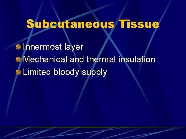Subcutaneous Tissue Innermost layer Mechanical and thermal insulation Limited bloody supply 