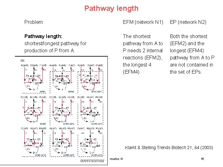 Pathway length Problem EFM (network N 1) EP (network N 2) Pathway length: shortest/longest