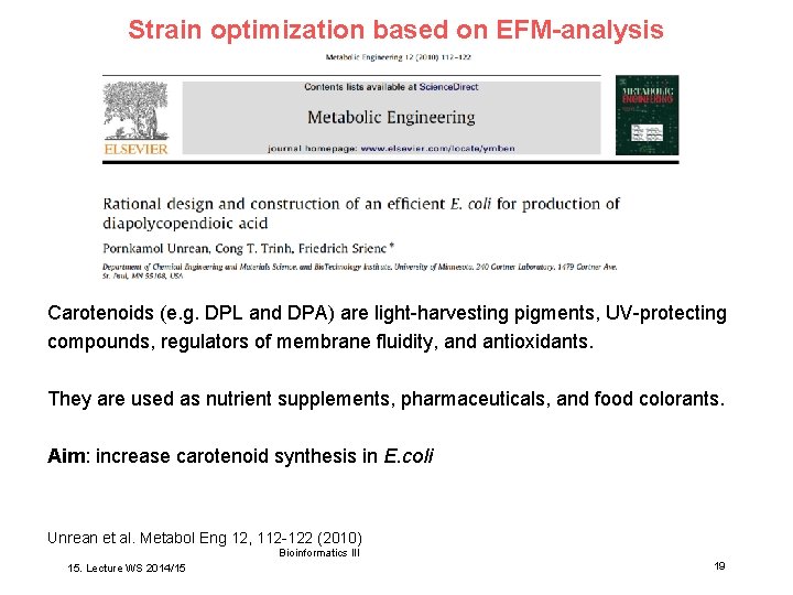 Strain optimization based on EFM-analysis Carotenoids (e. g. DPL and DPA) are light-harvesting pigments,