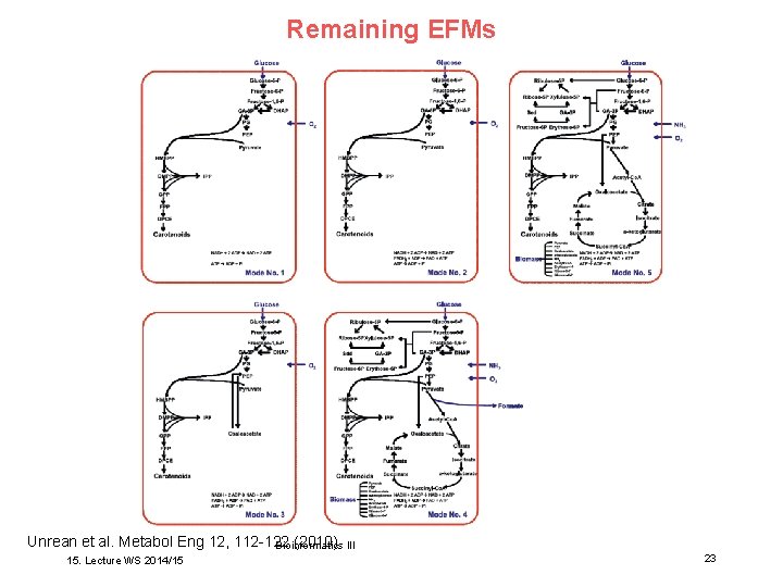 Remaining EFMs Unrean et al. Metabol Eng 12, 112 -122 (2010) III Bioinformatics 15.
