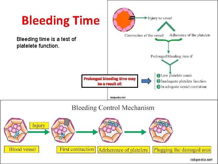 Bleeding Time Bleeding time is a test of platelete function. Prolonged bleeding time may