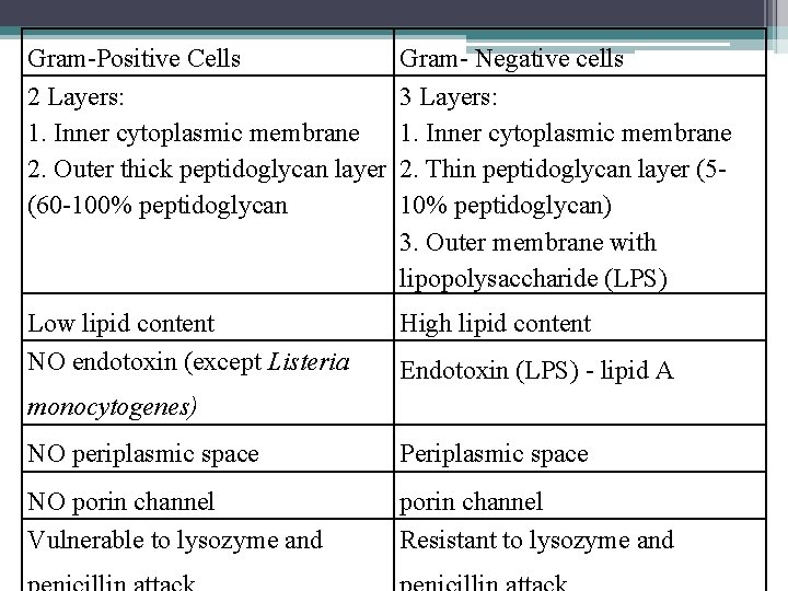 Gram-Positive Cells 2 Layers: 1. Inner cytoplasmic membrane 2. Outer thick peptidoglycan layer (60