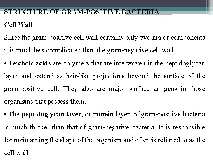 STRUCTURE OF GRAM-POSITIVE BACTERIA Cell Wall Since the gram-positive cell wall contains only two