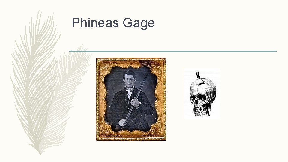 Phineas Gage 