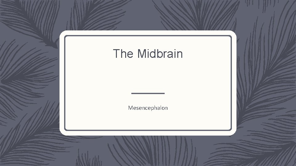The Midbrain Mesencephalon 