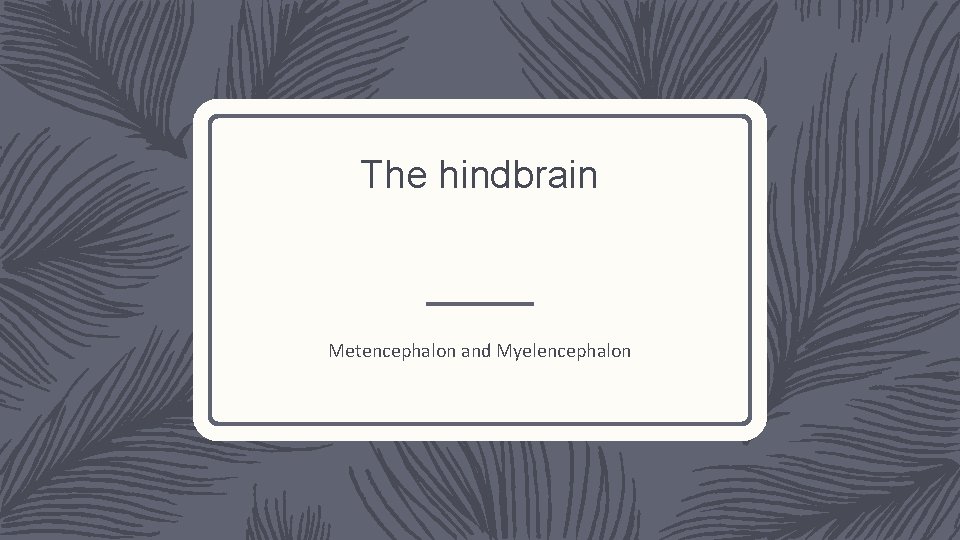 The hindbrain Metencephalon and Myelencephalon 