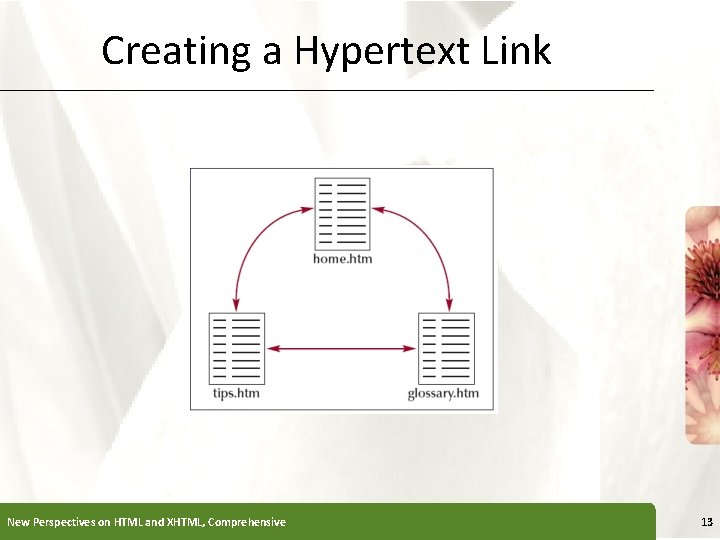 Creating a Hypertext Link New Perspectives on HTML and XHTML, Comprehensive XP 13 