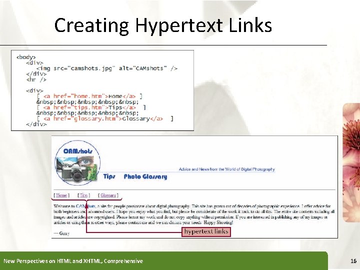 Creating Hypertext Links New Perspectives on HTML and XHTML, Comprehensive XP 16 