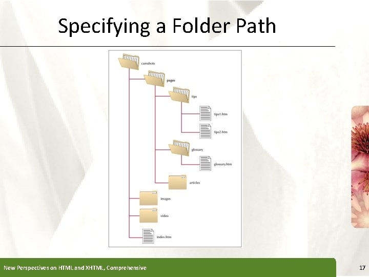 Specifying a Folder Path New Perspectives on HTML and XHTML, Comprehensive XP 17 
