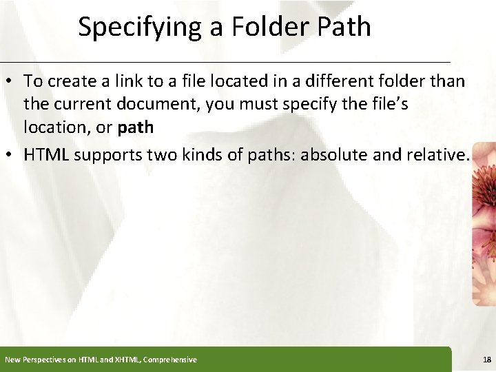 Specifying a Folder Path XP • To create a link to a file located