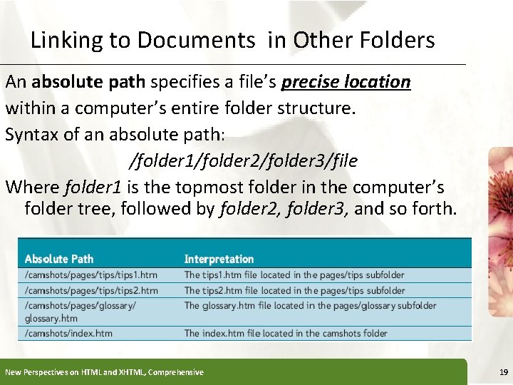 Linking to Documents in Other Folders XP An absolute path specifies a file’s precise