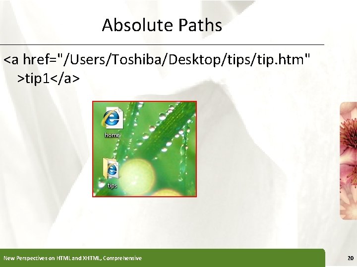 Absolute Paths XP <a href="/Users/Toshiba/Desktop/tips/tip. htm" >tip 1</a> New Perspectives on HTML and XHTML,
