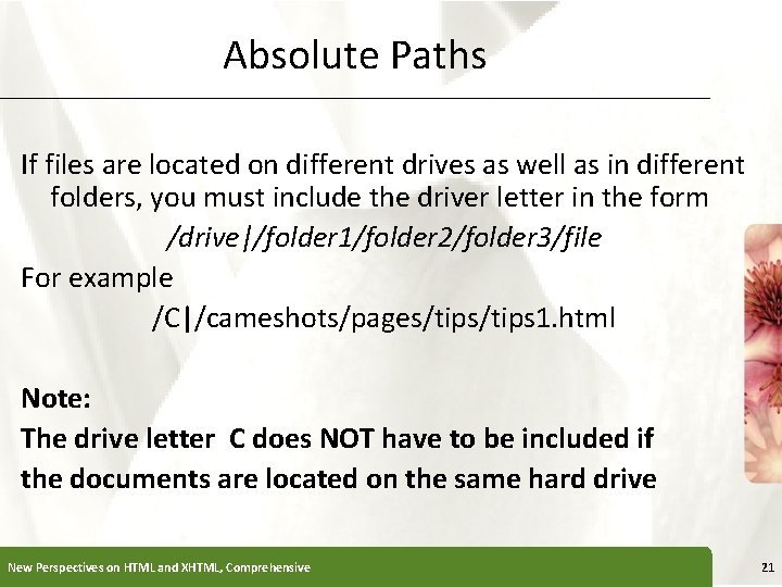 Absolute Paths XP If files are located on different drives as well as in