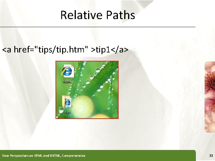 Relative Paths XP <a href="tips/tip. htm" >tip 1</a> New Perspectives on HTML and XHTML,