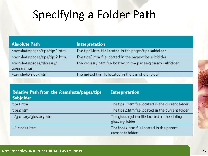 Specifying a Folder Path New Perspectives on HTML and XHTML, Comprehensive XP 25 