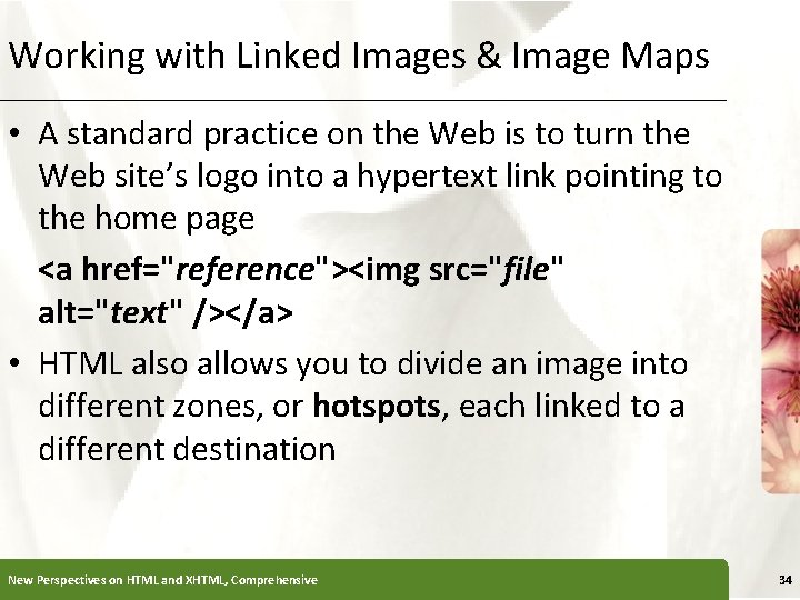 Working with Linked Images & Image Maps XP • A standard practice on the