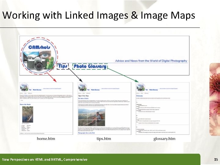 Working with Linked Images & Image Maps New Perspectives on HTML and XHTML, Comprehensive