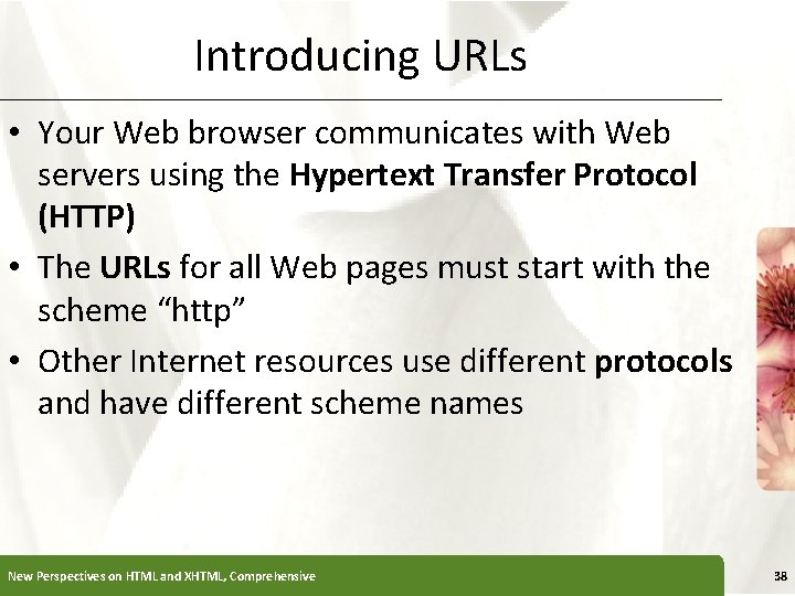 Introducing URLs XP • Your Web browser communicates with Web servers using the Hypertext