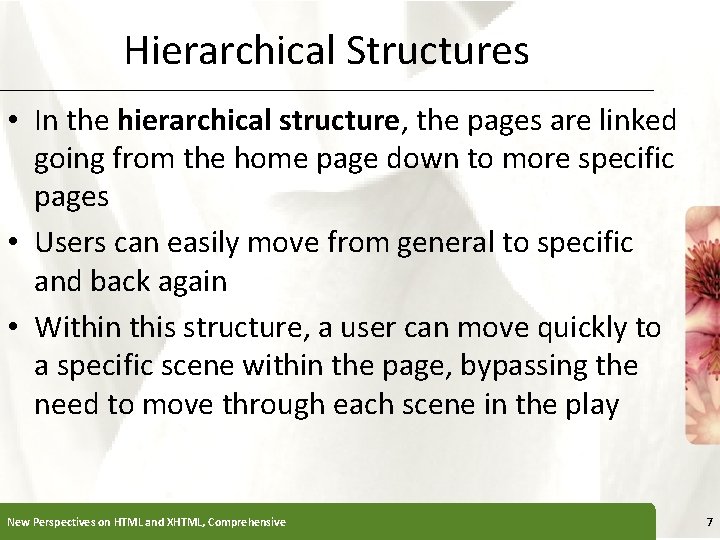 Hierarchical Structures XP • In the hierarchical structure, the pages are linked going from