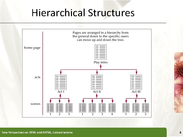 Hierarchical Structures New Perspectives on HTML and XHTML, Comprehensive XP 8 