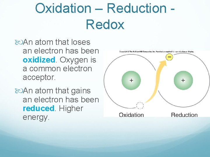 Oxidation – Reduction Redox An atom that loses an electron has been oxidized. Oxygen