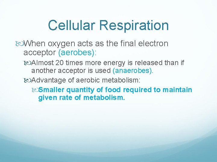 Cellular Respiration When oxygen acts as the final electron acceptor (aerobes): Almost 20 times