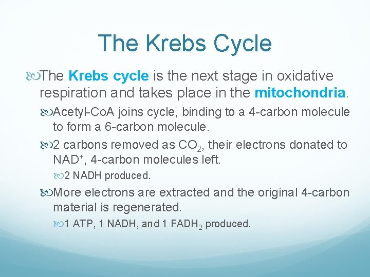 The Krebs Cycle The Krebs cycle is the next stage in oxidative respiration and