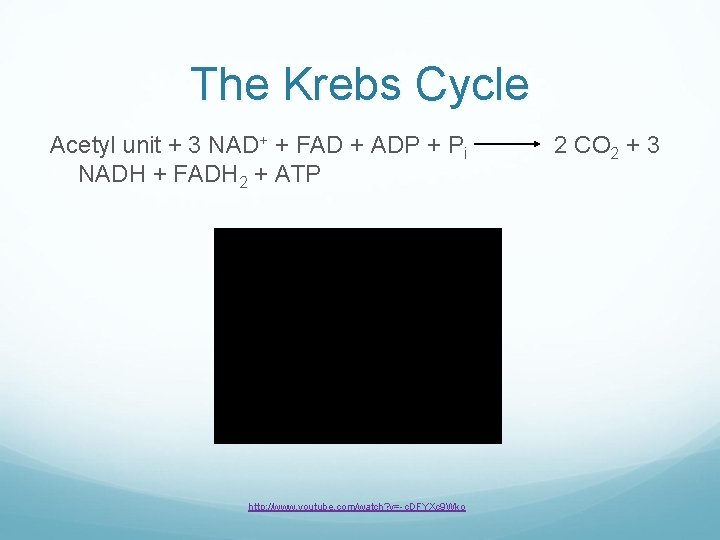 The Krebs Cycle Acetyl unit + 3 NAD+ + FAD + ADP + Pi